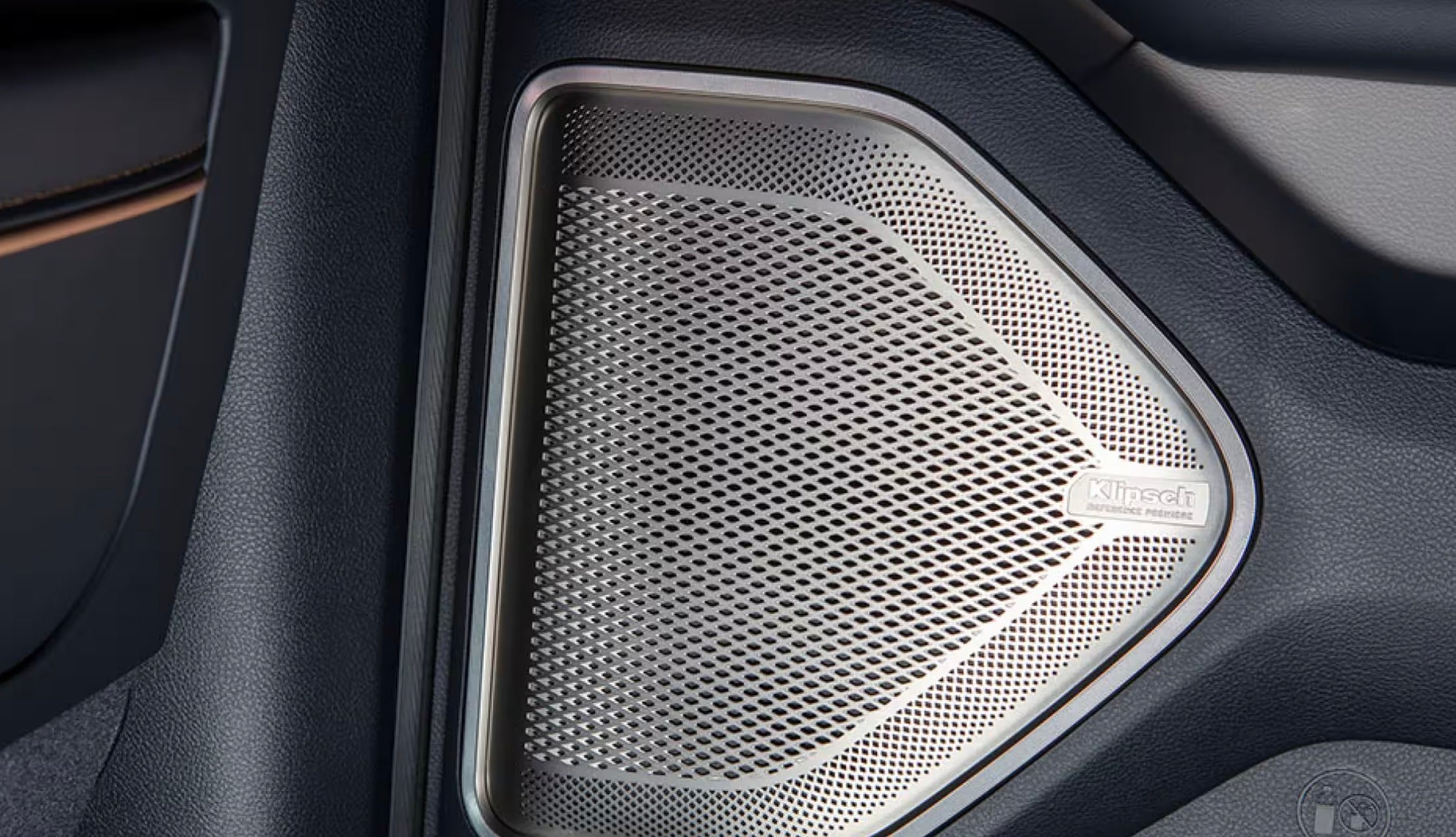 Longhorn Rebel trim speakers